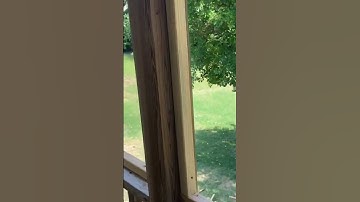 DIY screened in porch // Screen in porch how-to #shorts #handmade #carpentry #porchmakeover #DIY
