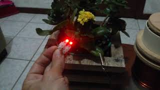 Transmitting electricity using unclosed displacement current through organic material (Tesla wave)
