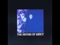 The sisters of mercy  imelda my reflection