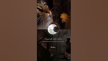 "يوم ترجف الأرض والجبال"سورة المزمل 🖤🦋|| القارئ عبد الرحمن مسعد