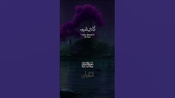 قَالَ يَا أَيُّهَا الْمَلَأُ أَيُّكُمْ يَأْتِينِي بِعَرْشِهَا.. سورة النمل للشيخ ياسر الدوسري