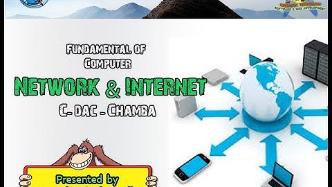 Basic Internet and Computer Networking fundamental for BCA, MCA, C-DAC  by Narender Singh Sandhu
