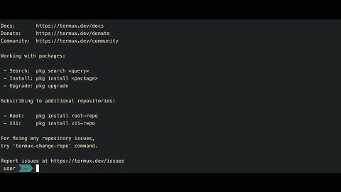 Установка темы Oh My Zsh Termux