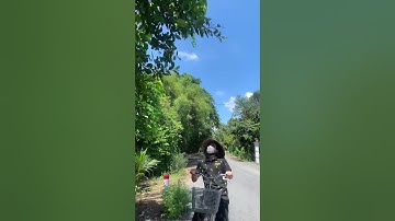 Bánh đậu xanh trái cây nhìn thôi là muốn ăn ngay liền - Nguyễn Thanh Nhí