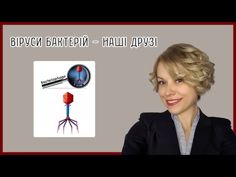 Бактеріофаги / Bacteriophages