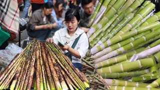 Sold 1500 catties of small bamboo shoots in 5 hours! Wild small bamboo shoots quack crisp quack daz by 燕麦行游 22,872 views 6 days ago 9 minutes, 57 seconds