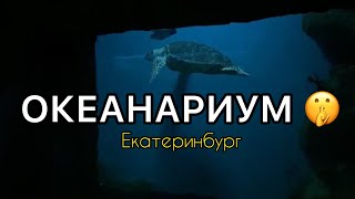 ОКЕАНАРИУМ ЕКАТЕРИНБУРГ * ЧТО Я УВИДЕЛА 🤫😱