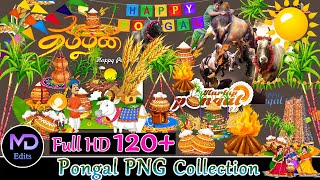 Pongal PNG Collection free downlod | MD Edits