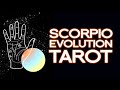 SCORPIO TAROT: The Three Phases of Scorpio Evolution Tarot Reading (Scorpion, Eagle, & Phoenix)