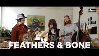 Video voorbeeld van "The Stray Birds - "Feathers & Bone""