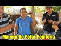 Así Pelamos Pepitoria En Guatemala Los Chapines👍