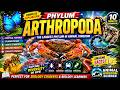 Phylum Arthropoda Explained Classification, Characteristics, Habitats, Amazing Facts & Zoology