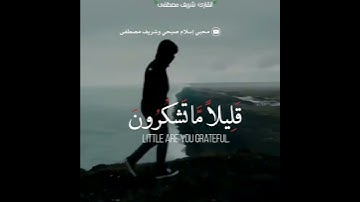 القارئ شريف مصطفى | تلاوة مؤثرة | أرح مسمعك