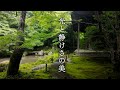 光と静けさの美 | The Beauty Light and Stillness of Kyoto Gardens
