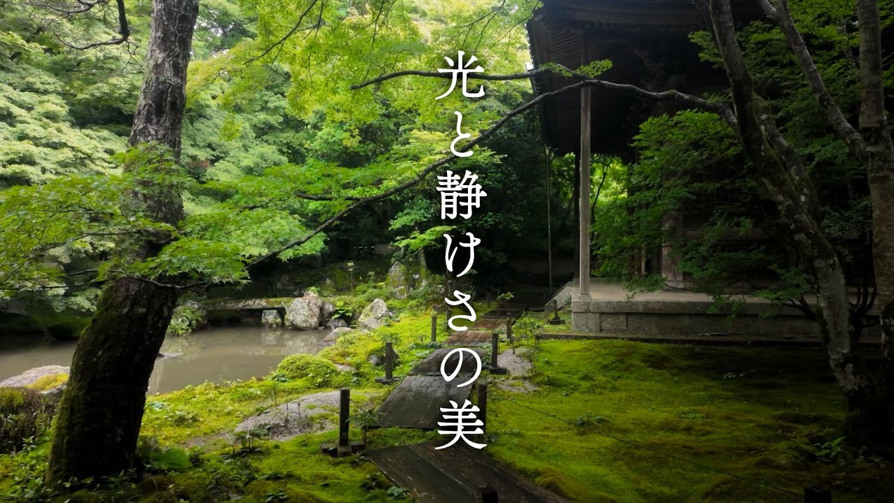 光と静けさの美 | The Beauty Light and Stillness of Kyoto Gardens
