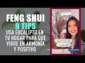 EUCALIPTO PARA LA ARMONÍA Y ENERGÍA POSITIVA DE TU HOGAR ! LOS MEJORES FENG SHUI TIPS