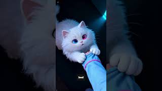 3AM Emergency… And This Cat Became A Hero 😳🐱 #shorts