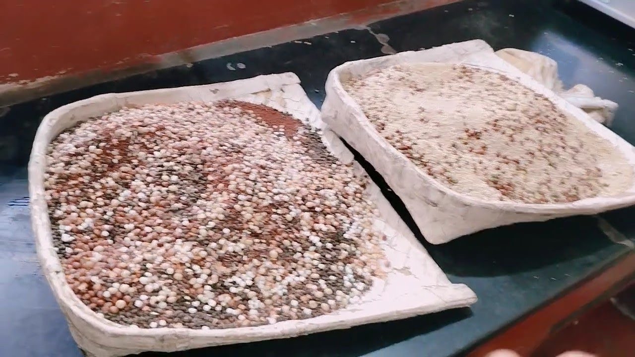 ರಾಗಿ ಜೊತೆಗೆ ಬೇಳೆಕಾಳುಗಳನ್ನು ಹಾಕಿ ಮಾಡಿದ್ರೆ ರಾಗಿ ಮಾಲ್ಟ್ ಪೌಡರ್ ರೆಡಿ #rekhamalavalli 