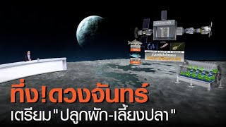 ทึ่ง! ดวงจันทร์ เตรียม “ปลูกผัก-เลี้ยงปลา” | TNN ข่าวค่ำ | 17 มี.ค. 64