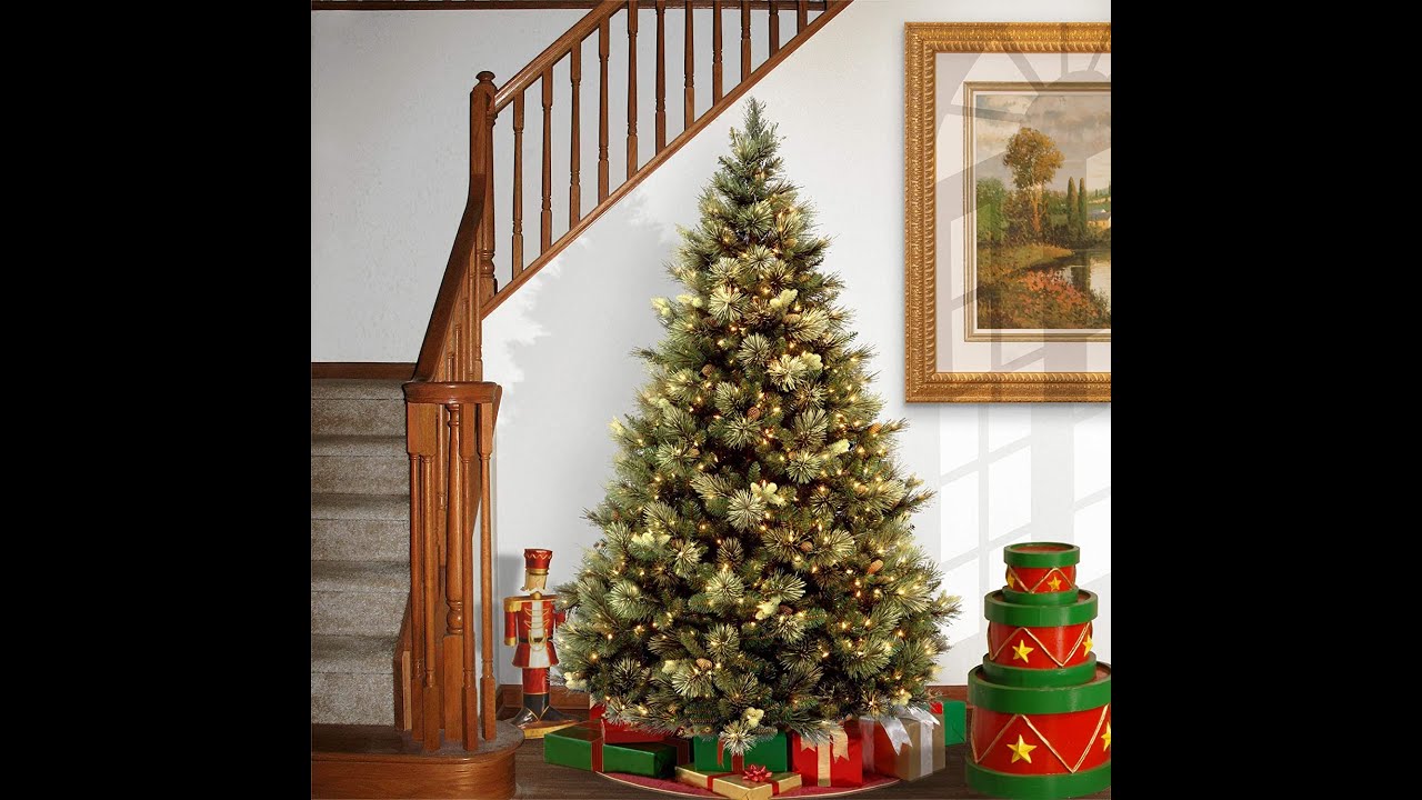 Carolina Pine Tree with Clear Lights YouTube