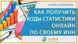 Коды статистики онлайн по ИНН для организации и ИП