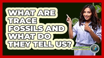 What Are Trace Fossils And What Do They Tell Us? - Earth Science Answers