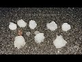 5-6-22 Wentworth, NC - Tornado Producing Supercell and Large Hail