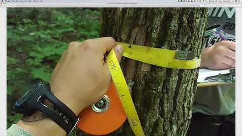 SDS 390 Lec04: Conducting a tree census