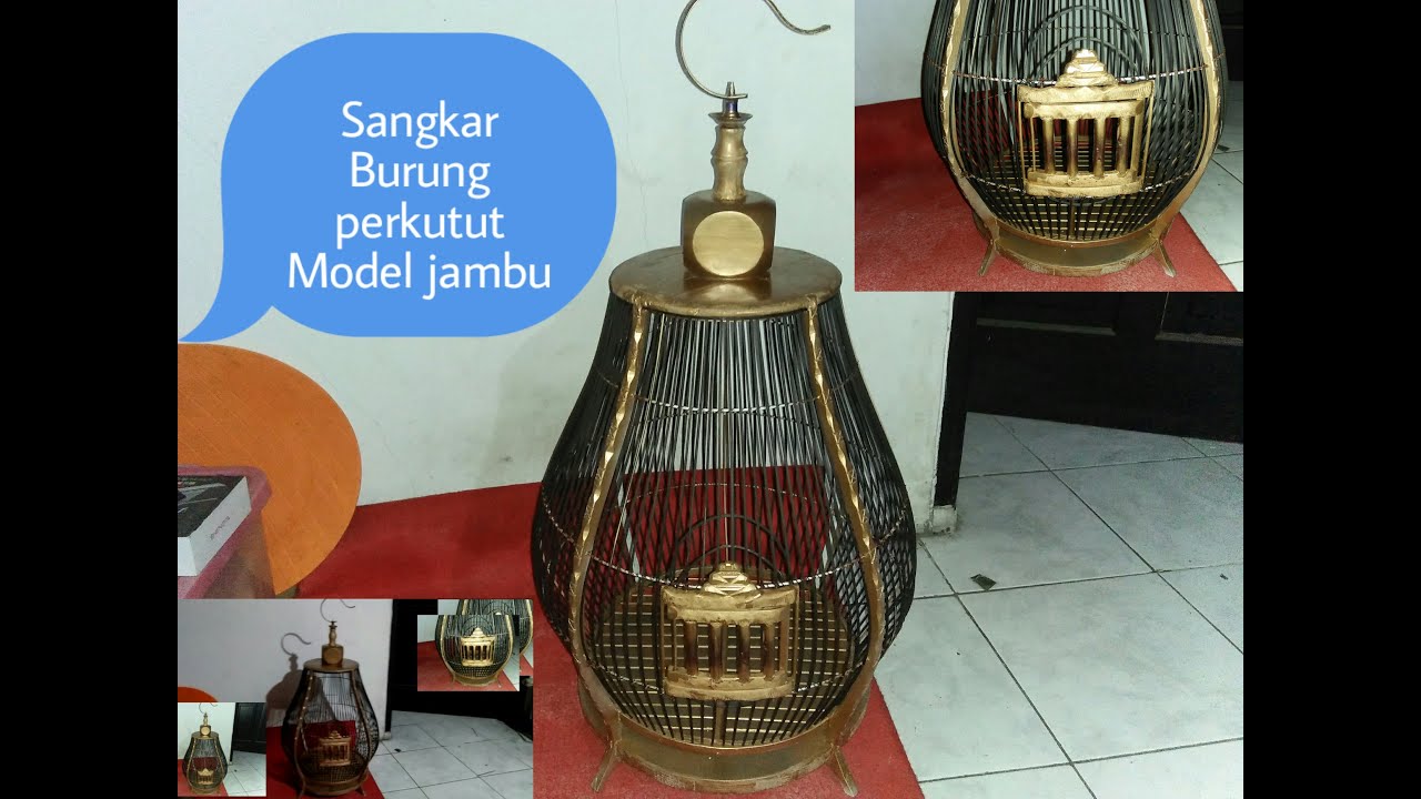 Tutorial Perkutut Sangkar Cara Membuat Sangkar Perkutut Model Jambu Youtube Sangkar Sangkar Burung Burung