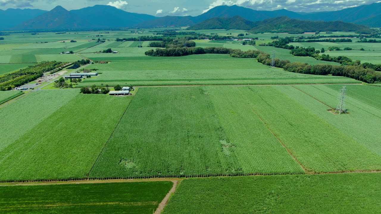 SOLD Edmonton Sugar Cane Farm 80 Acres Professionals Cairns South
