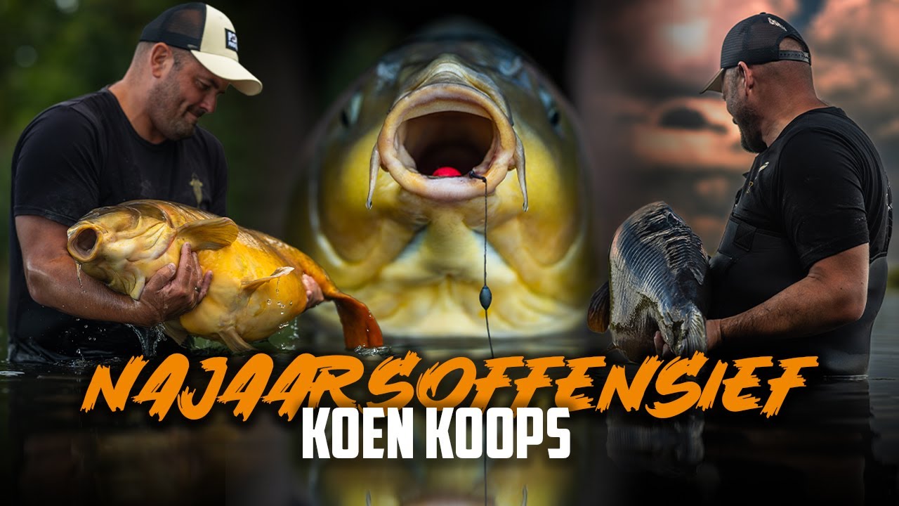 3 NEDERLANDSE VIJFTIGERS | Koen Koops - Najaarsoffensief