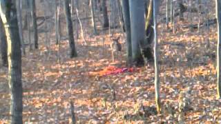 VID-20111101-00005