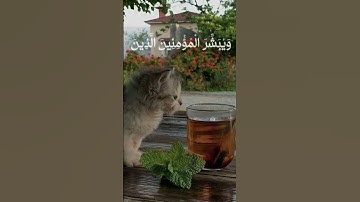 لا تنسوا قراءة سورة الكهف #اكسبلور #قران_كريم #لا_اله_الا_الله