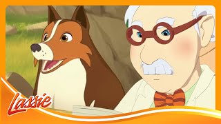 📸 Harvey \u0026 Zoe’s Amazing Wildlife Photo Adventure! | The New Adventures of Lassie Cartoons For Kids