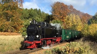 Rasender Roland im goldenen Herbst 2015 auf der Insel Rügen narrow gauge railway steam locomotive