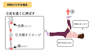 足ストレッチ