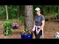 Planting a Shade AquaPot & Other Fun Containers | Gardening with Creekside