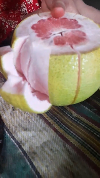 batabi lebu # big lemon # me agar kahu music # lemon broken proses