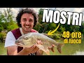I MOSTRI DEL FIUME - bolognese in fiume