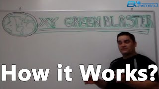 How does the most effective Bedbug Removal System Work