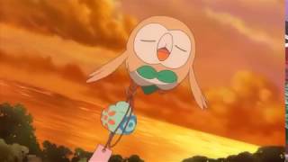 Pokemon(U) - Not so Fast, Rowlet!(Take 1)(11-27-17)