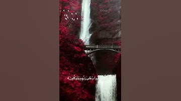 سورة العنكبوت آيه ٥٩ بصوت القارئ عبدالرحمن مسعد