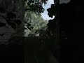 Bush Wookie Assassin #huntshowdown #gaming #gameplay