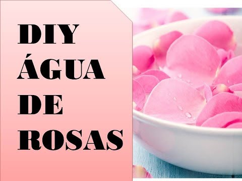 Vídeo: DIY Água de Rosas - Use rosas do seu jardim para fazer água de rosas