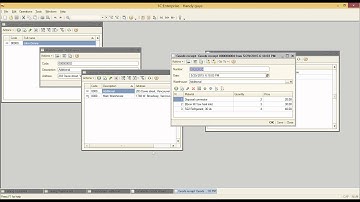 1C:Professional, Lesson 4, Video 1