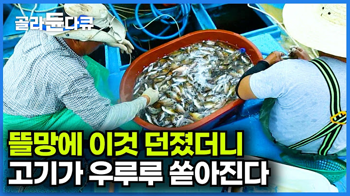 손질 귀찮아도 맛 하나는 끝내준다. 몇 마리 건져 바로 회 썰어서 먹는 어부ㅣ뜰망에 미끼 던졌더니 이렇게나 몰린다ㅣ한국기행│#골라듄다큐
