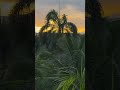 Raulin Rodríguez // Medicina de Amor #bachata #viral #top #domingo #parati #la4r #recommended #1k