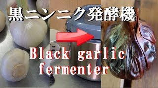 【簡単失敗なし】免疫力を向上させる 黒ニンニクの作り方  炊飯器でも作れる How to make fermented black garlic