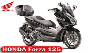 Honda renueva el scooter Forza 125