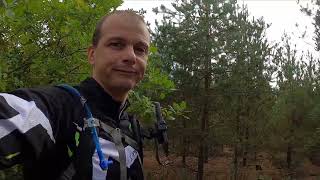 картинка: А вот и они - грибы в лесу Тимченках. Все до единого выкинул.